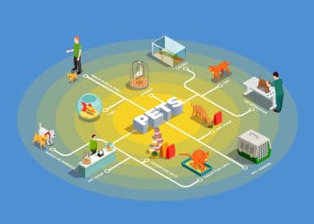 Pets isometric flowchart