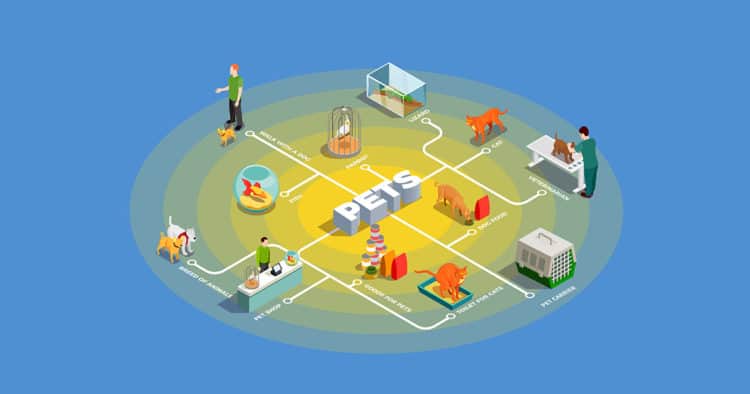 Pets isometric flowchart