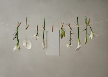 ASUS Zenbook S 14 新世代AI筆電