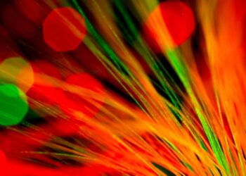 1200 Beautiful Optical Fiber Detail