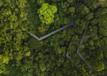 圖說：HPE發布AI永續發展三大考量，包括策略評估、優化AI生命週期及跨界合作與創新。