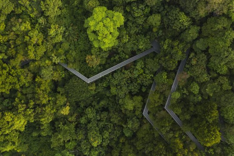 圖說：HPE發布AI永續發展三大考量，包括策略評估、優化AI生命週期及跨界合作與創新。