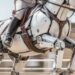 Harness Engineering 奠定 AI 基礎設施