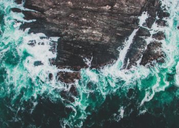 Felipe san martin wgshmufllk unsplash