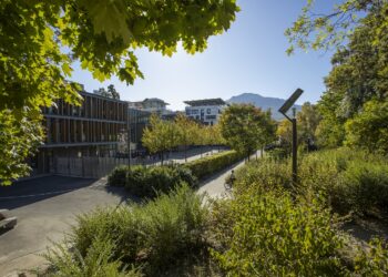 施耐德電機的解決方案提供準確且即時的數據分析，協助製造廠脫碳化