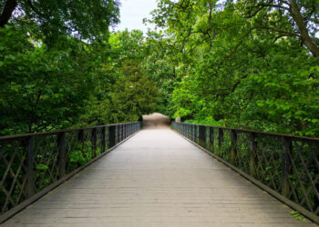 HPE發布《2023　Living　Progress　Report》，展現其永續、包容、具備AI倫理的策略與實踐。