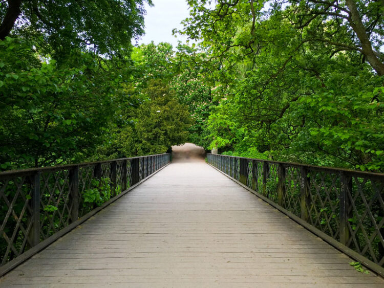 HPE發布《2023　Living　Progress　Report》，展現其永續、包容、具備AI倫理的策略與實踐。