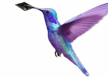 摩爾斯微電子（Morse Micro）宣布與海華科技（AzureWave Technologies）締結合作關係，在這項合作案中，海華科技將設計與製造堪稱市場上最小的模組Wi-Fi HaLow模組。