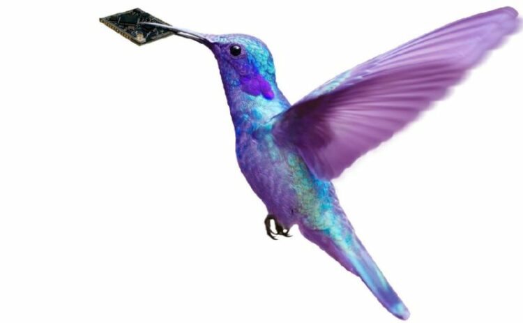 摩爾斯微電子（Morse Micro）宣布與海華科技（AzureWave Technologies）締結合作關係，在這項合作案中，海華科技將設計與製造堪稱市場上最小的模組Wi-Fi HaLow模組。