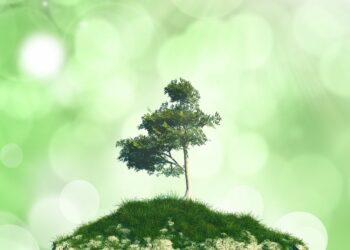 林呈欣初碳首圖